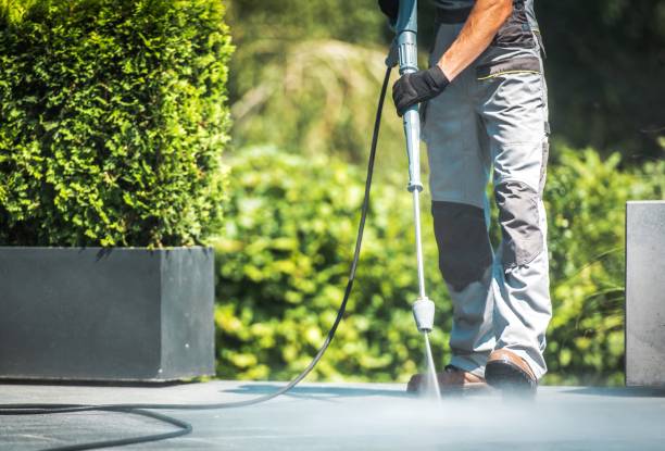 Best Sidewalk and Walkway Cleaning  in Vamo, FL
