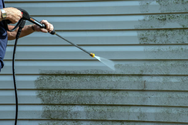 Professional Pressure Washing in Vamo, FL
