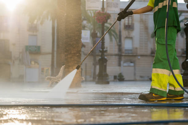 Best Dumpster Area Cleaning  in Vamo, FL
